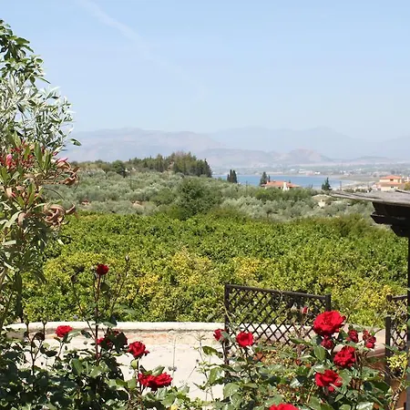 Klymeni Traditional Homes *