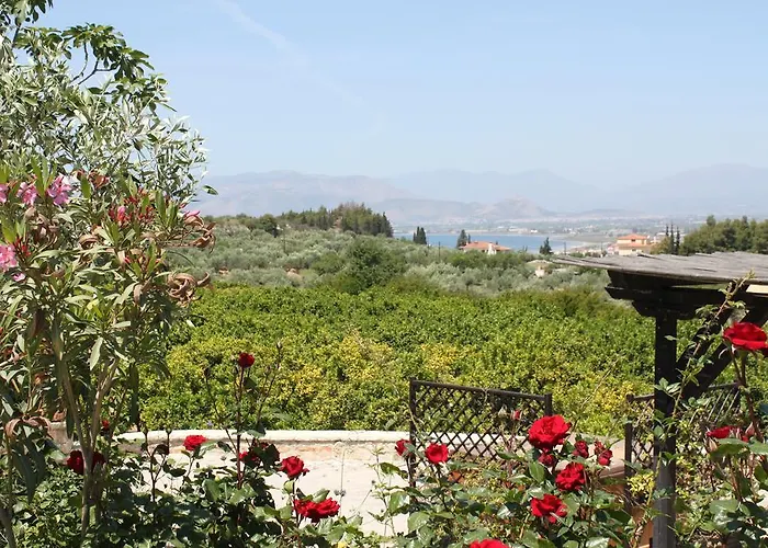 Klymeni Traditional Homes *